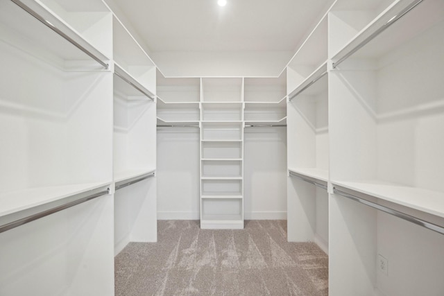 spacious closet with light carpet