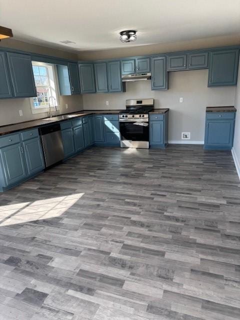 kitchen with hardwood / wood-style flooring, stainless steel appliances, blue cabinets, and sink