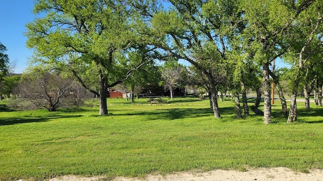 view of property's community with a yard