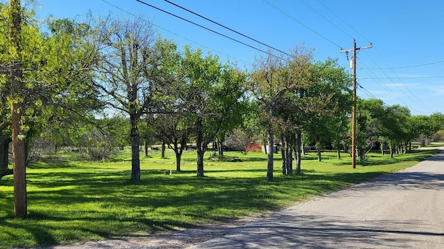 view of community with a lawn