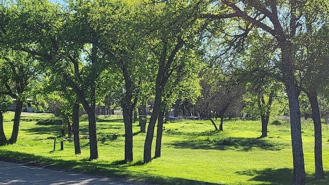 surrounding community featuring a yard