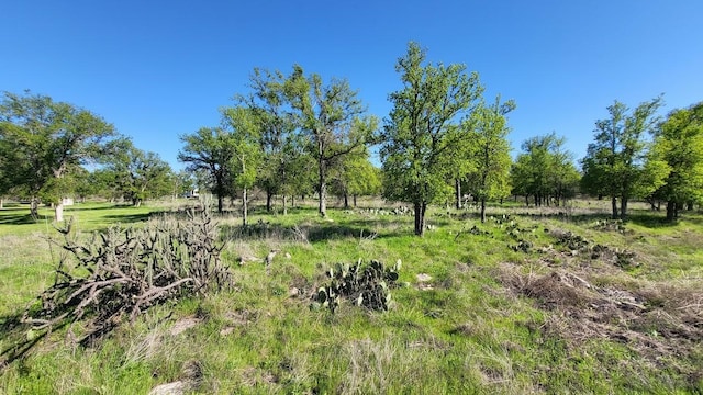 view of local wilderness with a rural view