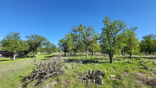 view of landscape with a rural view