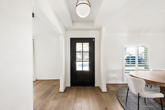 foyer with a raised ceiling, light hardwood / wood-style flooring, and a wealth of natural light