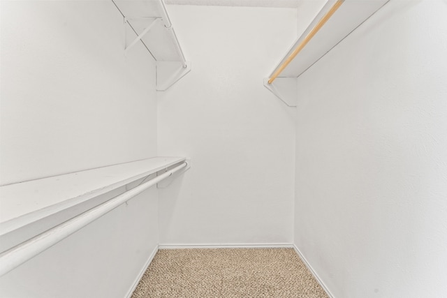 walk in closet featuring light colored carpet