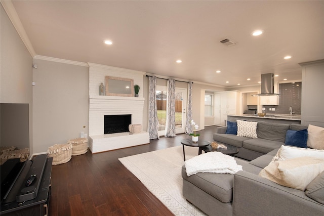 living room featuring dark hardwood / wood-style floors, ornamental molding, a fireplace, and sink