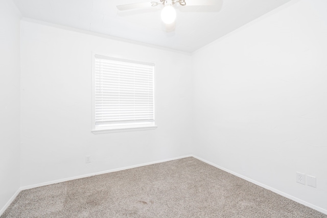 unfurnished room featuring ceiling fan, ornamental molding, and carpet floors