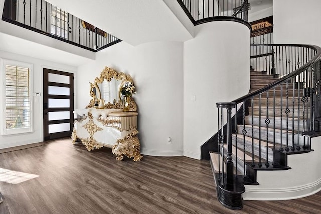 foyer with a high ceiling and dark hardwood / wood-style flooring