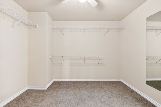 walk in closet featuring carpet and a ceiling fan