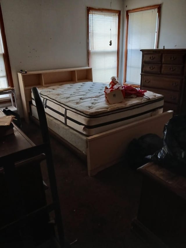 bedroom featuring multiple windows