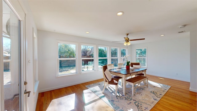 dining room with ceiling fan and light hardwood / wood-style floors