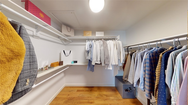 walk in closet with hardwood / wood-style flooring