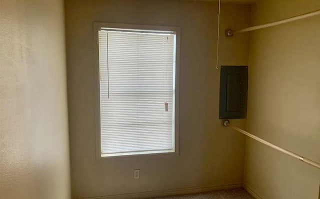 empty room featuring electric panel and carpet floors