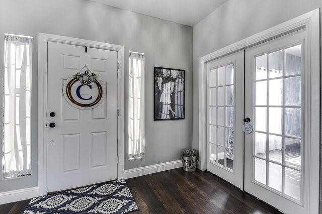 foyer with dark wood-type flooring, a wealth of natural light, and french doors