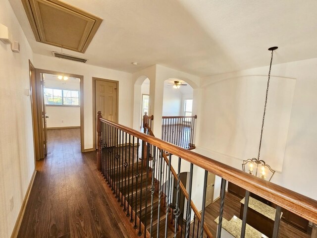 walk in closet featuring dark hardwood / wood-style floors