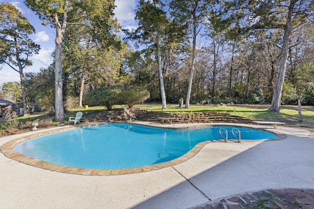 view of swimming pool with a patio and a diving board