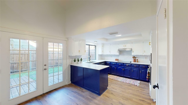 kitchen with a tray ceiling, white cabinets, and light wood-type flooring