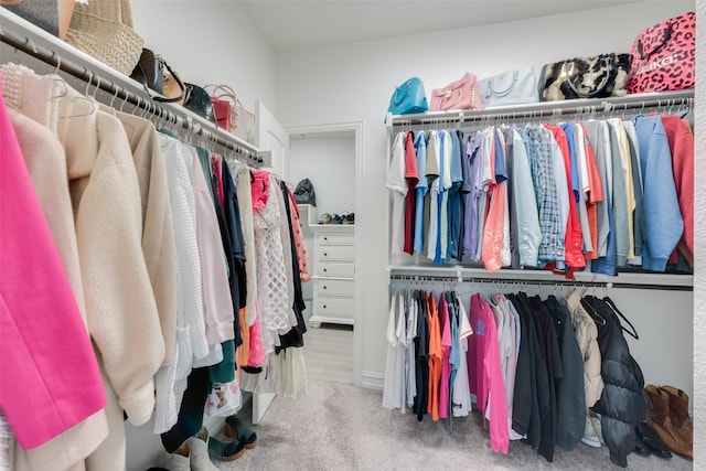 walk in closet with carpet floors