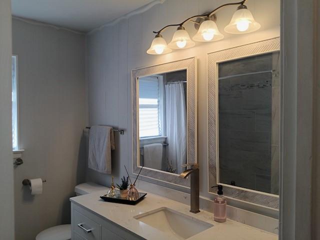 bathroom with vanity and toilet