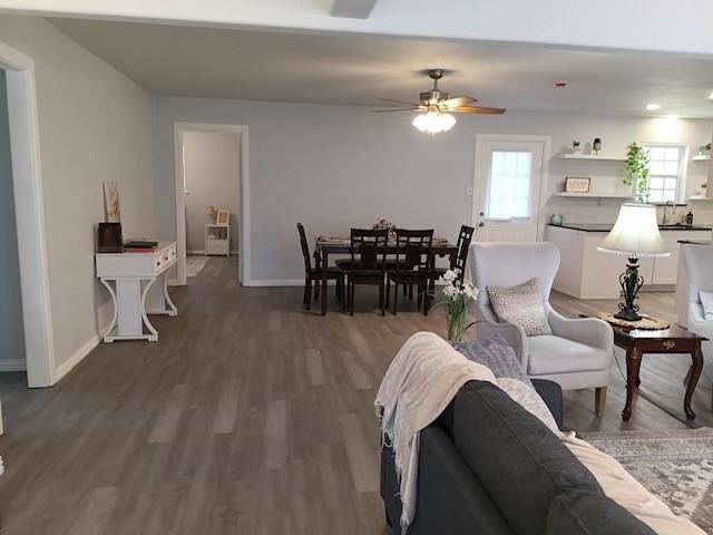 living room featuring ceiling fan and dark hardwood / wood-style flooring