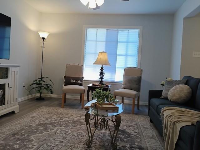 living area featuring hardwood / wood-style floors and ceiling fan