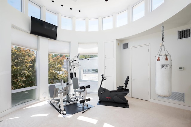 exercise area with a high ceiling, plenty of natural light, and light colored carpet