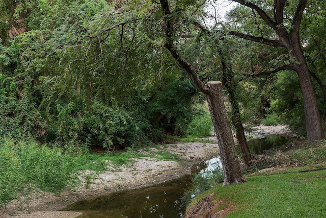 view of local wilderness