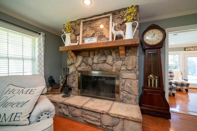 living room featuring wood-type flooring, a stone fireplace, and a healthy amount of sunlight