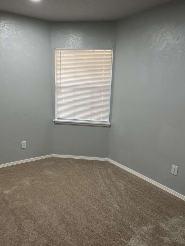 unfurnished room with carpet flooring