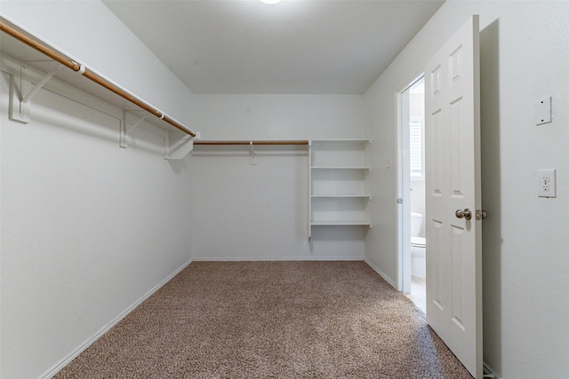 walk in closet with carpet