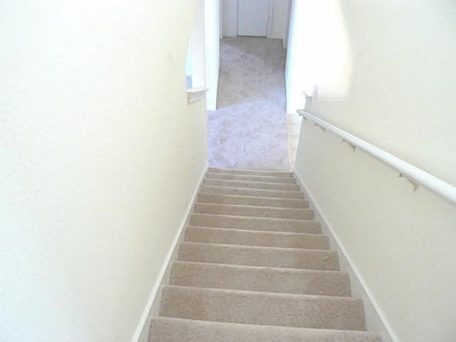 stairway featuring carpet floors