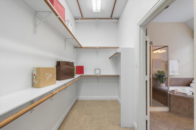 spacious closet featuring light colored carpet