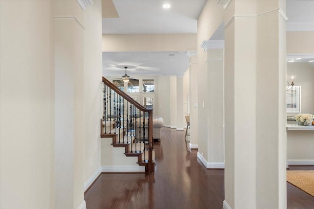 hall with ornamental molding and dark hardwood / wood-style floors