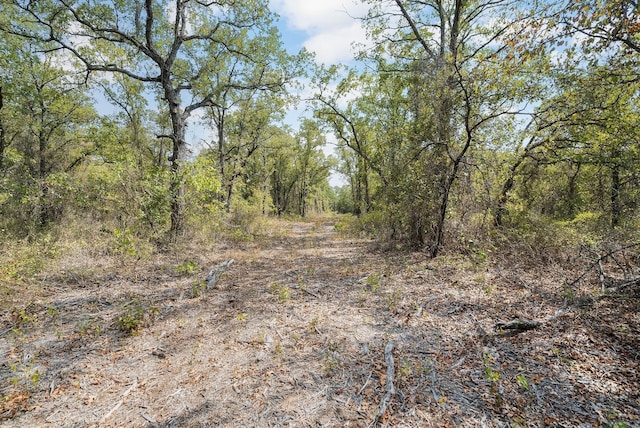 Listing photo 3 for LOT3 Wilson Rd S, Perrin TX 76486