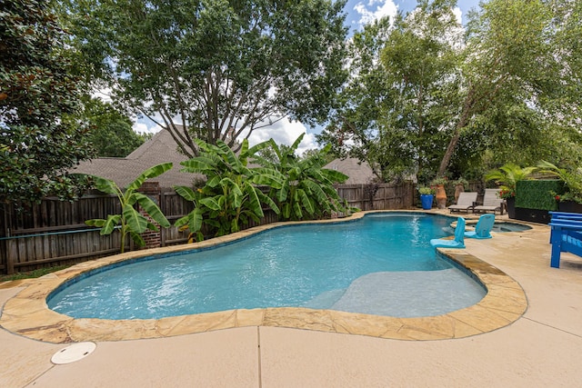 view of swimming pool featuring a patio