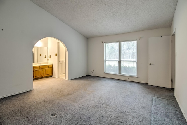 carpeted spare room with lofted ceiling and a textured ceiling