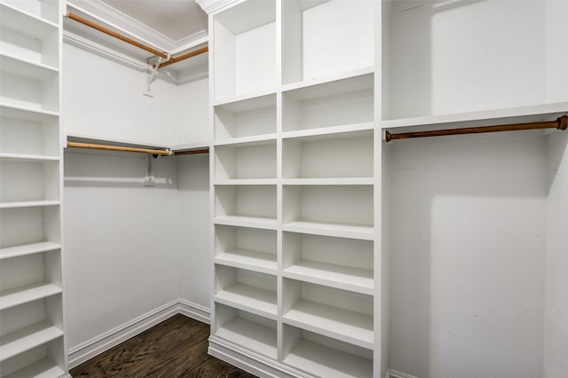 spacious closet featuring dark wood-type flooring