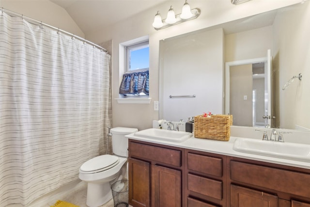 bathroom featuring vanity, toilet, and vaulted ceiling