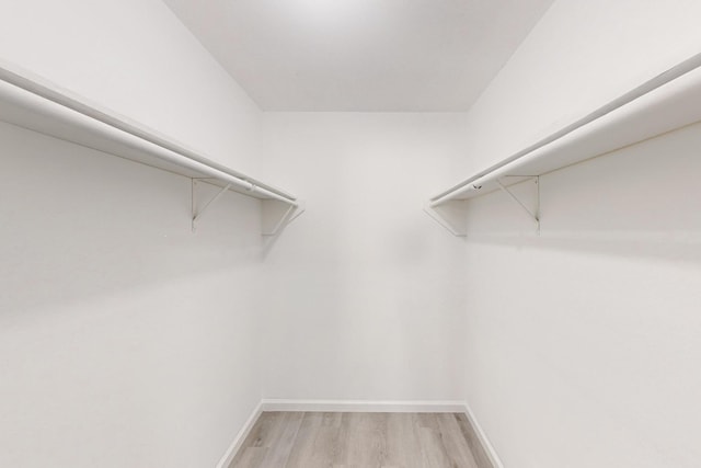 walk in closet featuring light wood-type flooring