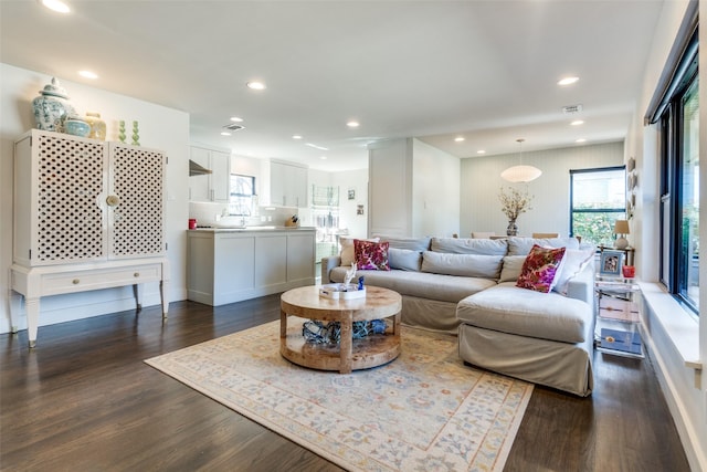 living room with dark wood-type flooring