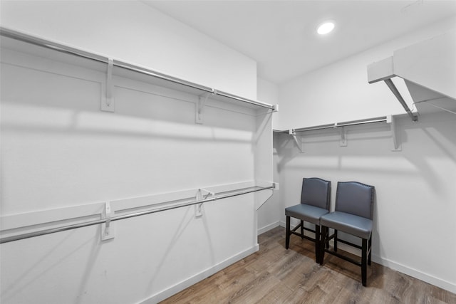 spacious closet with wood-type flooring