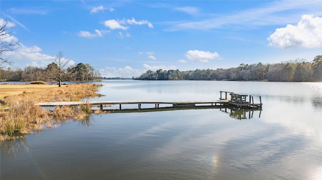 dock area featuring a water view