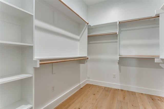 spacious closet featuring wood finished floors