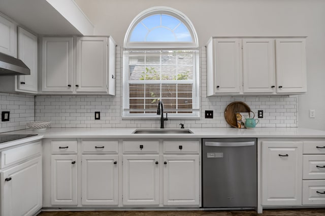 kitchen featuring sink, stainless steel dishwasher, white cabinets, and decorative backsplash