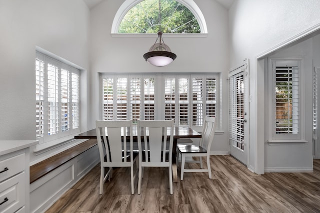 dining area featuring a high ceiling, hardwood / wood-style floors, and a wealth of natural light