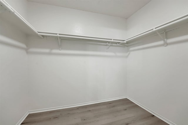 spacious closet with hardwood / wood-style floors