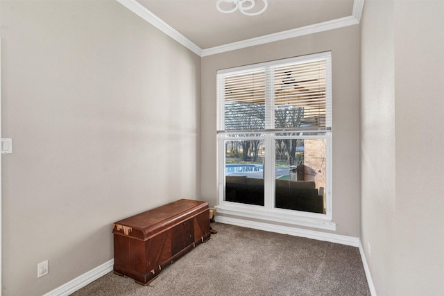 spare room with ornamental molding and carpet