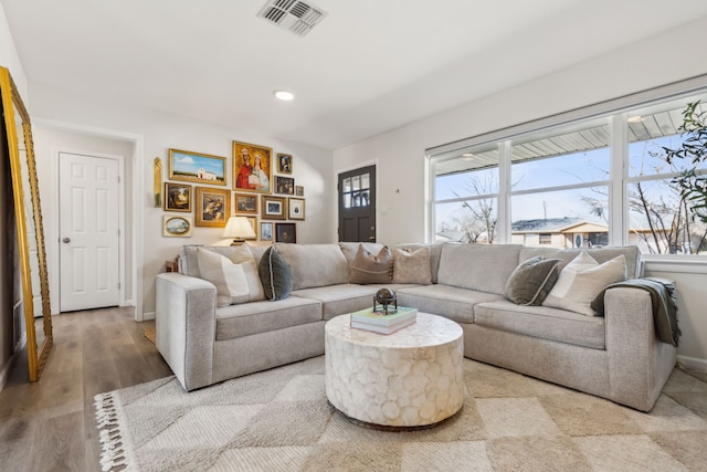 living room featuring hardwood / wood-style flooring