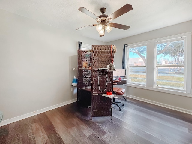 office space featuring dark hardwood / wood-style floors and ceiling fan