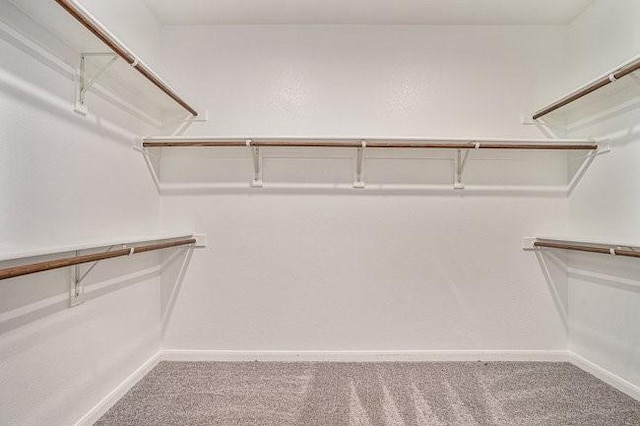 spacious closet with carpet floors